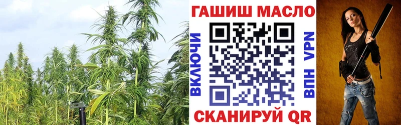 купить закладку Невельск ТГК THC oil